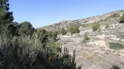 Chalet in Petrer photo 9