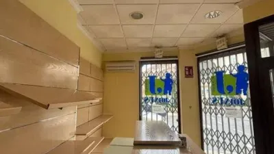 Miniatura 11
