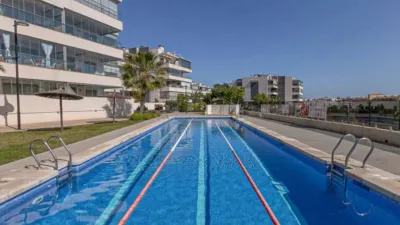 Piso – Orihuela - Vista 2