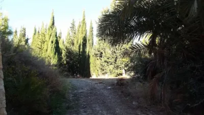 Rustic house in Abanilla photo 16