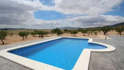 Chalet in El Pinós - Pinoso photo 3