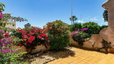  photo 46