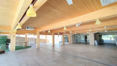 Rustic property in Yecla photo 94