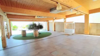 Rustic property in Yecla photo 100
