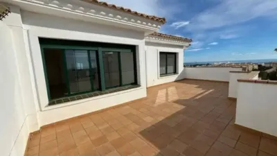 Pis – Orihuela - Més
