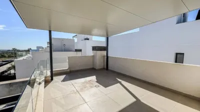 Chalet in Algorfa photo 27