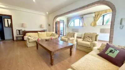 Chalet in Cabo Roig-La Zenia-La Regia photo 27