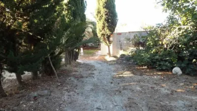 Rustic house in Abanilla photo 13