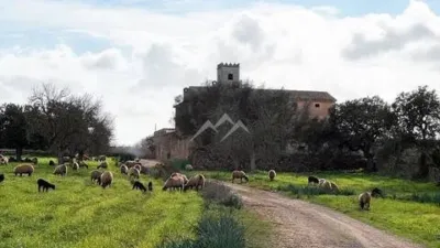 Rustic property in Algaida photo 30