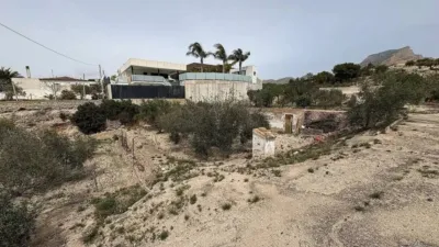 Rustic house in Petrer photo 14