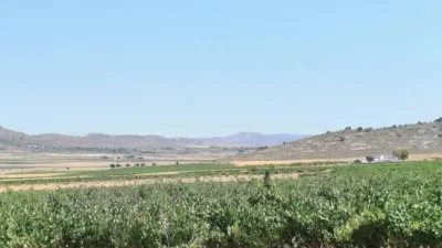 Rustic property in Yecla photo 20