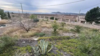 Rustic house in Novelda photo 27