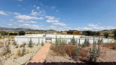 Chalet in Jumilla photo 11
