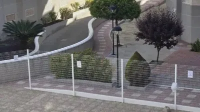 Apartment in Playa del Cura photo 3