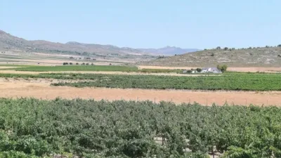 Rustic property in Yecla photo 24