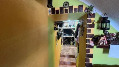Apartment in Elche de La Sierra photo 19
