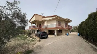 Rustic house in Petrer photo 44