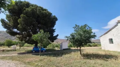 Rustic property in Yecla photo 5