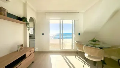 Pis – Torrevieja - Més