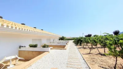 Rustic property in Yecla photo 80