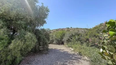 Chalet in Abanilla photo 62