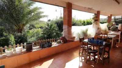Chalet in Monòver - Monóvar photo 7
