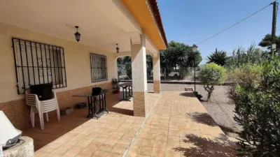 Chalet in Crevillent photo 19