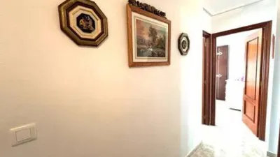 Apartment on Avenida de San Miguel photo 23