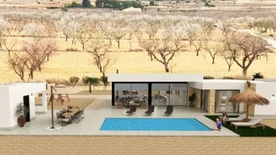 Chalet in El Pinós - Pinoso photo 5