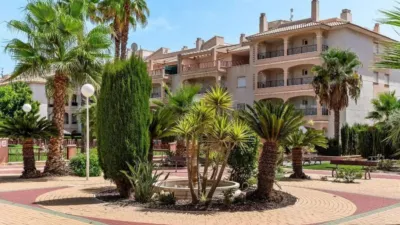 Apartment in Playa Flamenca-Las Piscinas photo 26