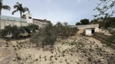 Rustic house in Petrer photo 13