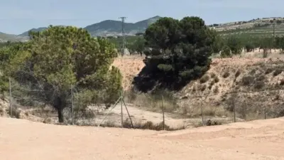 Chalet en Abanilla photo 18