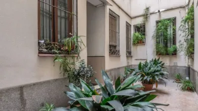 Apartment in Palacio photo 32