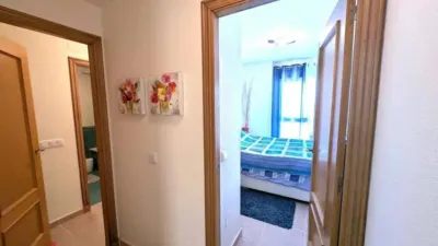 Apartment in Guardamar del Segura photo 12