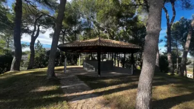 Rustic property in Penàguila photo 62