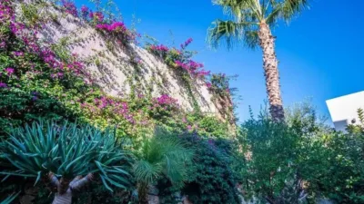 Chalet in Algorfa photo 16