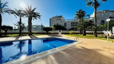 Penthouse in Guardamar del Segura photo 32