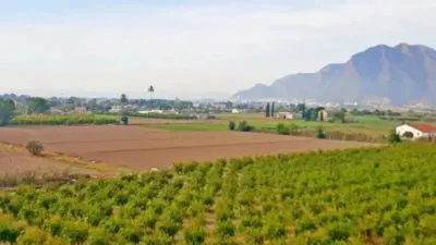 Rustic property in Callosa de Segura photo 41