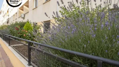Apartment in Granada City photo 43