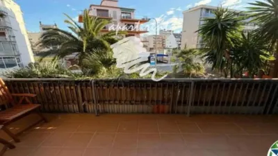 Apartment in Santa Margarida photo 4