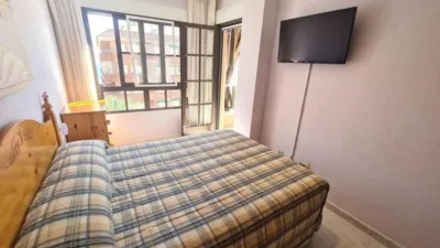 Apartment in Guardamar del Segura photo 14