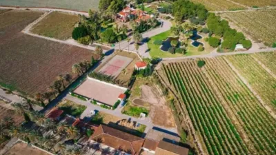 Rustic property in Novelda photo 64