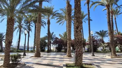 Pis – Alicante - Alacant - Vista 2