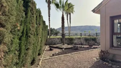 Chalet en Algorfa photo 51