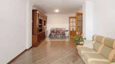 Apartment in Murcia City photo 3