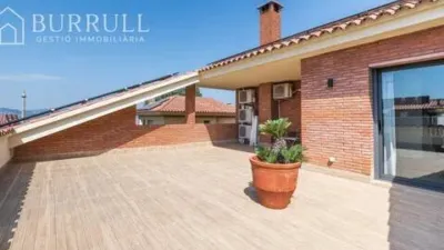 Chalet in Sant Just Desvern photo 12