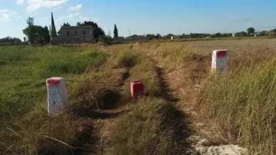 Rustic property in Callosa de Segura photo 20