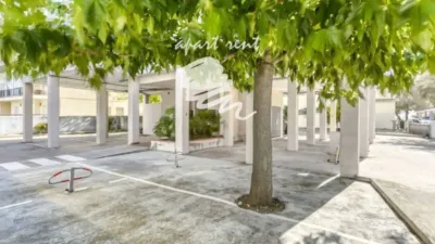 Apartment in Salatà photo 35