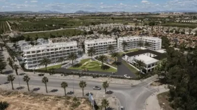 Apartment in Guardamar del Segura photo 3