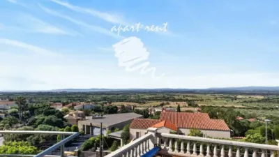 Chalet in Les Torroelles photo 29